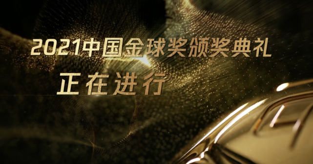 年轻的老婆3视频