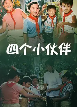 草b视频
