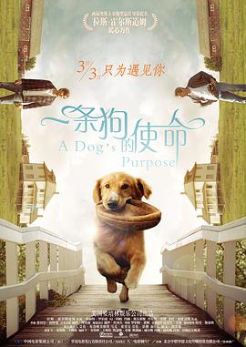 国产成人精品.一二区