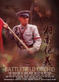 性视频网站视频免费