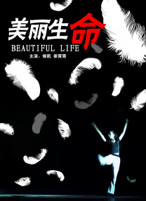 上海dns