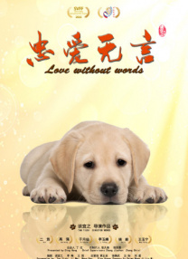 手机视频在线播放