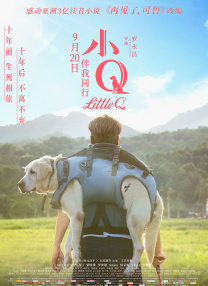 福利在线观看视频
