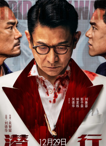 花蝴蝶在线观看