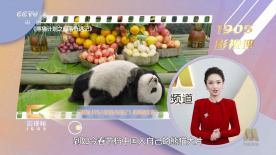 欧美一级高清片欧美国产欧美